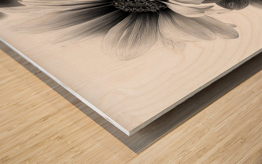 Sans Couleur - Without Color - Monochrome Floral Art Prints Wood print