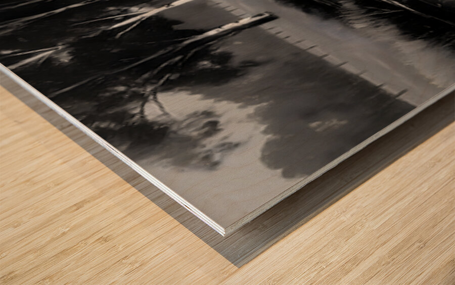 By the Riverbank - Monochrome Landscape Art Prints Wood print