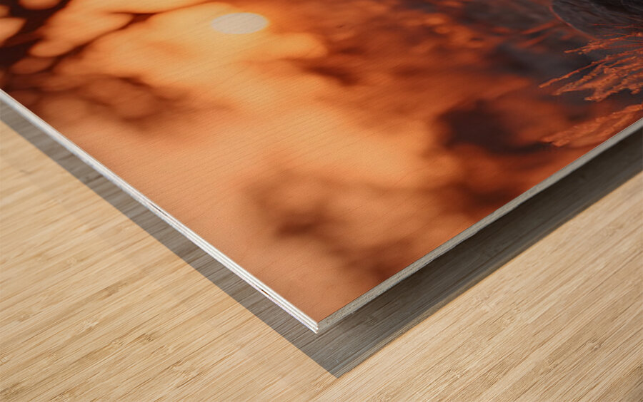 The Gaze – Wildlife Portrait Art Print Wood print