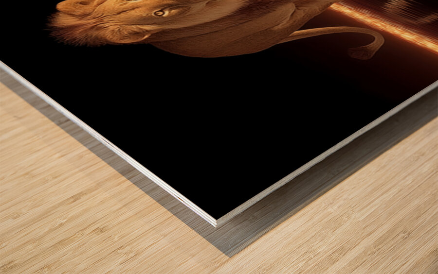 Crowned Silence – Lion Reflection Print Wood print