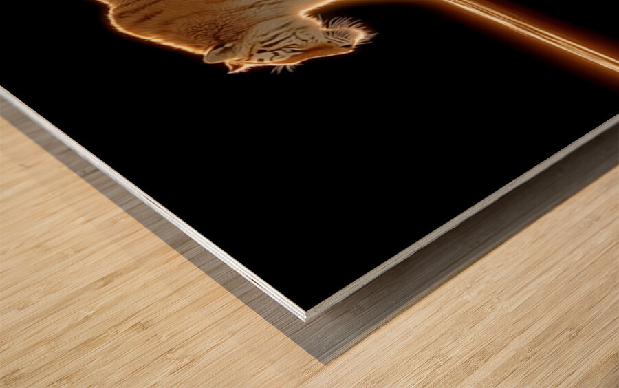 Golden Monarch – Tiger Reflection Print Wood print