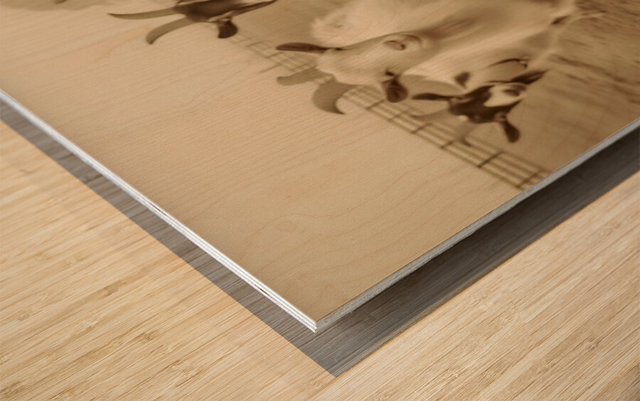 Curious Goats at the Fence – Farmhouse Animal Art Print Wood print