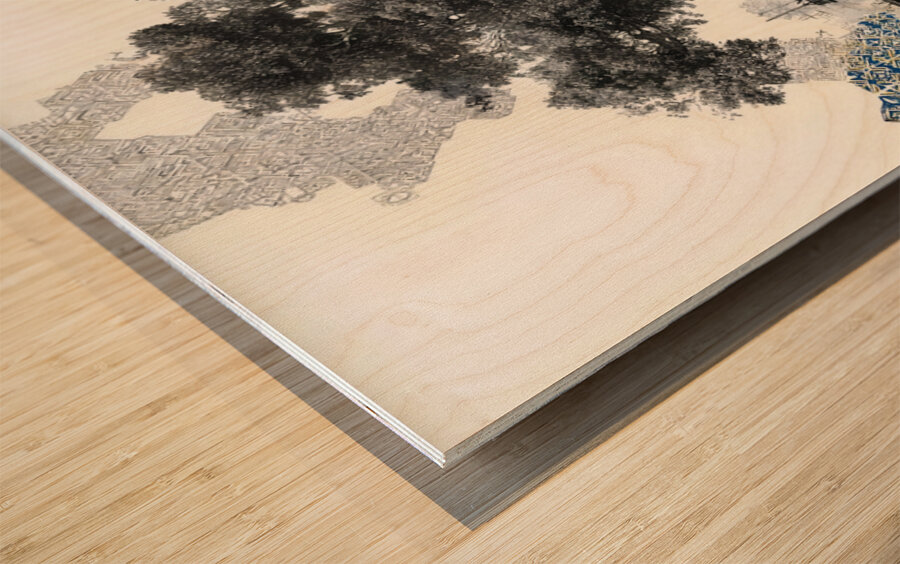 Sanctuary Root – Architectural Tree Reflection Print Wood print