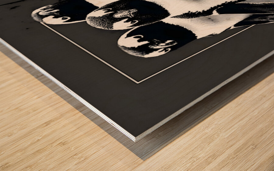 March of the Frost – Penguin Formation Print Wood print