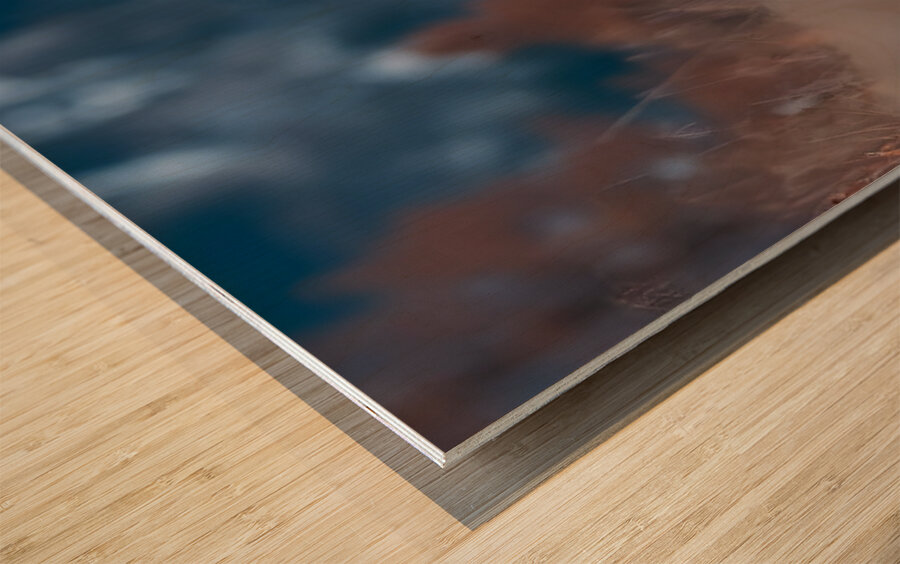 Alpine Titan – Grizzly Bear Print Wood print