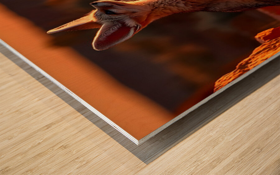 Dustwalker – Fennec Fox Print Wood print