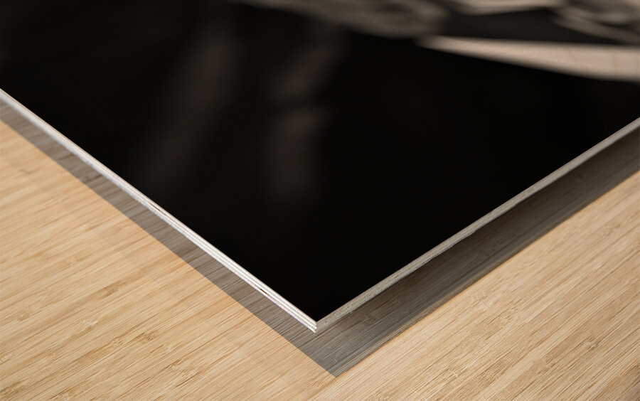 Resilient Heart – Yellow Flower Among Stones Print Wood print