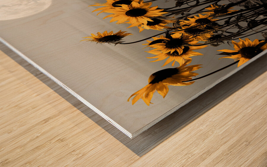 Harvest Moon – Golden Sunflowers by Moonlight Print Wood print