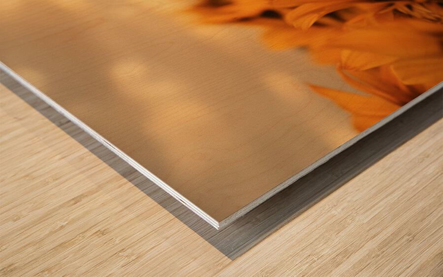 Golden Haze – Radiant Sunflower Morning Print Wood print