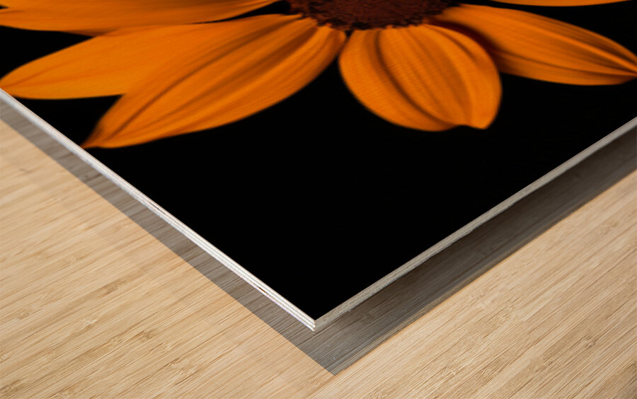 Field of Fire – Vibrant Sunflower Panorama Print Wood print