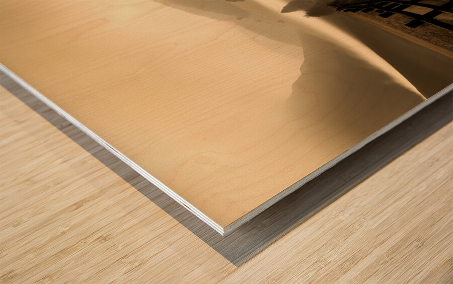 Country Road Reverie – Vintage Sepia Landscape Print Wood print