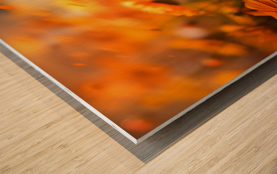 Honeyfield Glow – Warm Sunflower Bokeh Print Wood print