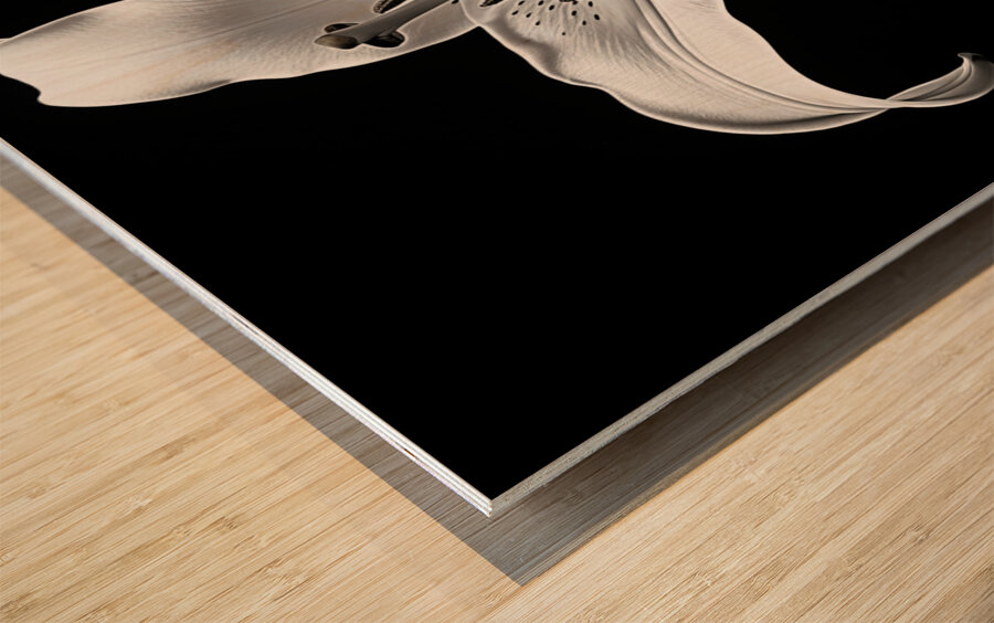 Golden Meadow by the Lake – Wildflower Panorama Print Wood print