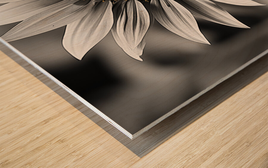 Flawless – Black & White Sunflower Art Print Wood print